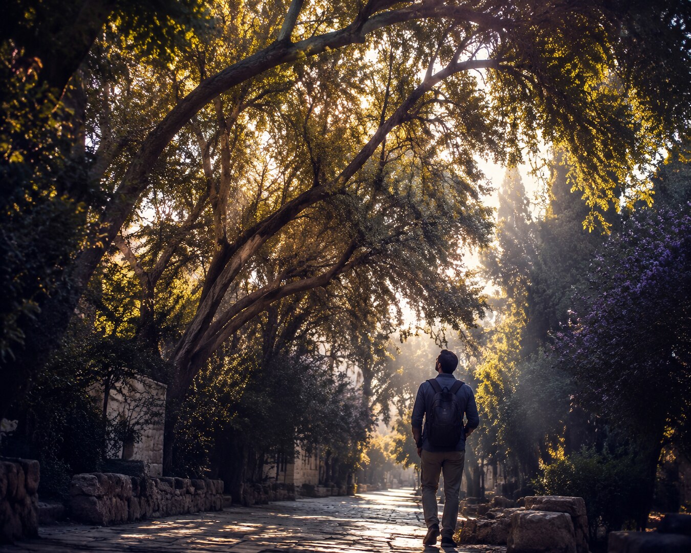 דמות הולכת בשביל עירוני ירוק ומרימה מבט אל צמרות עצים מוארות באור זהוב, ברגע של פליאה שקטה